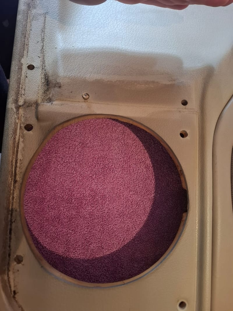 Car door speaker surround before detailing — grimy and dusty trim, Johannesburg North